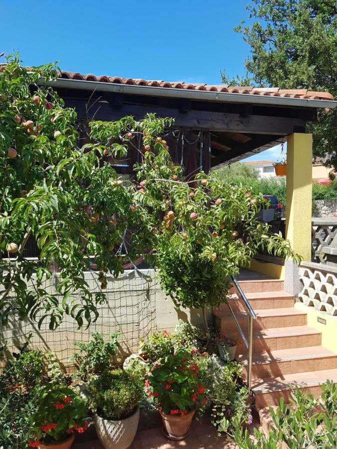 Apartmani Grguric Kornić Exterior foto
