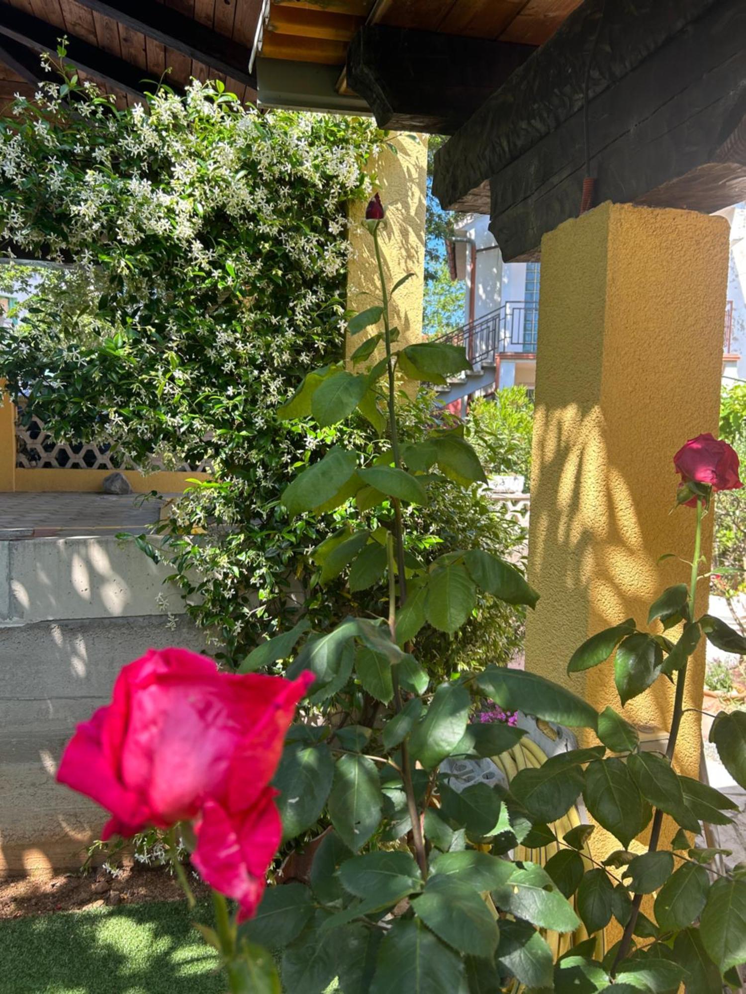 Apartmani Grguric Kornić Exterior foto